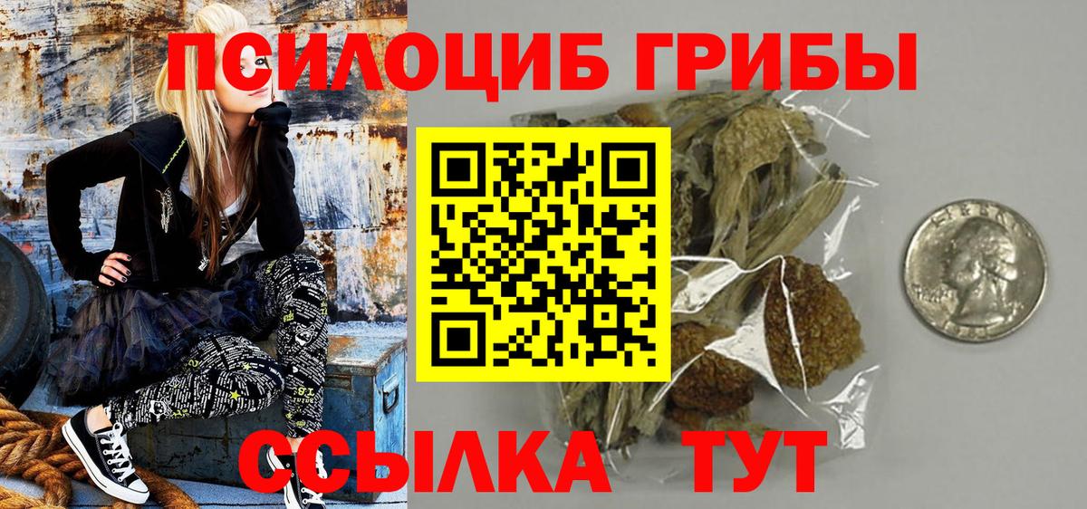 Кизляр  Галлюциногенные грибы прущие грибы  Вход с VPN  Псилоцибиновые грибы Psilocybe 